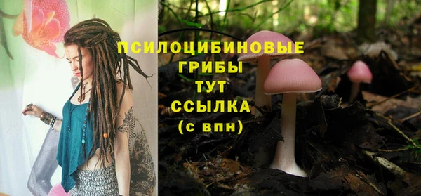 PSILOCYBIN Верея